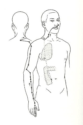 meridiano intestino crasso