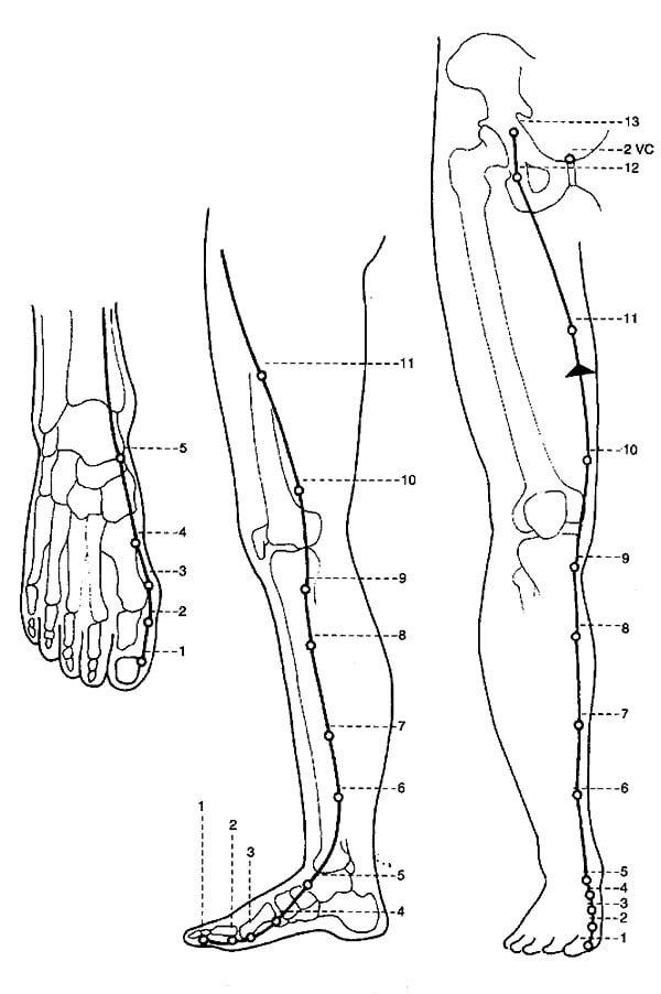 meridiano milza pancreas