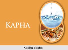 dosha kapha