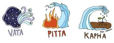 pitta dosha
