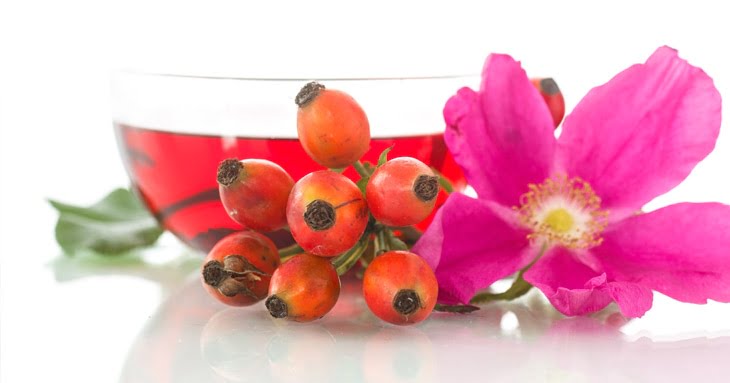 i benefici della rosa mosqueta