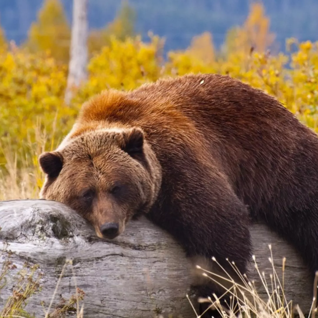 regole del buon sonno